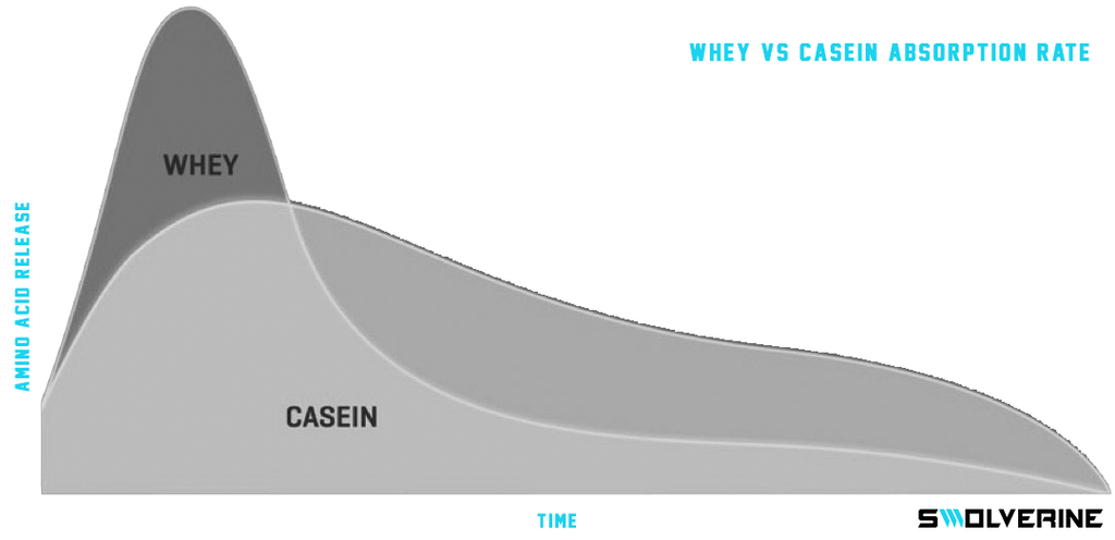whey vs casein