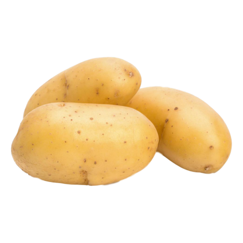 POTATO