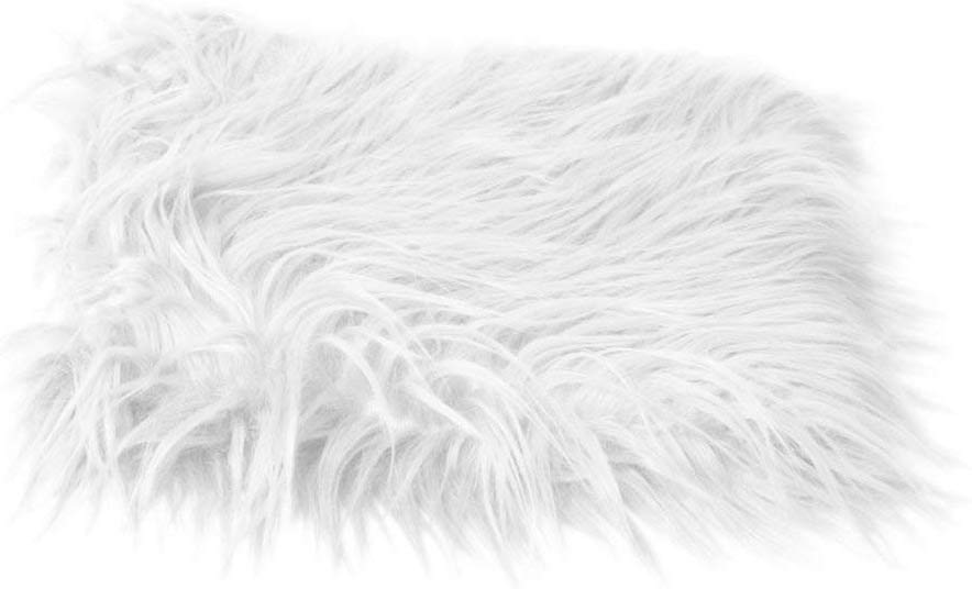 Electomania Blanket Faux Fur Photography Photo Prop Baby Newborn Backg –  Electo Mania