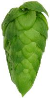 Cascade Hop