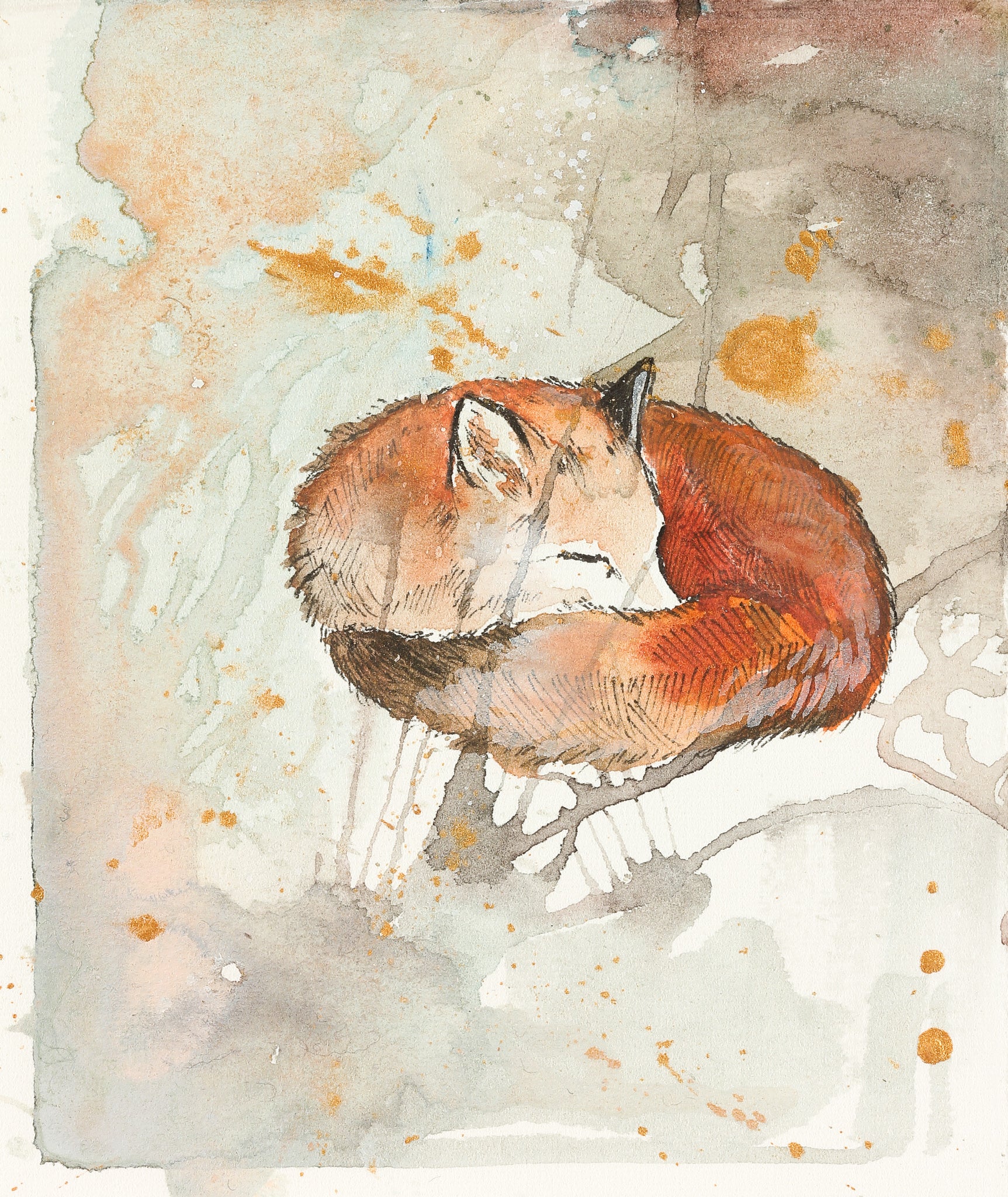 sleeping fox drawing