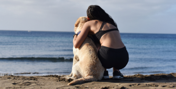 labrador with a girl on the beach 