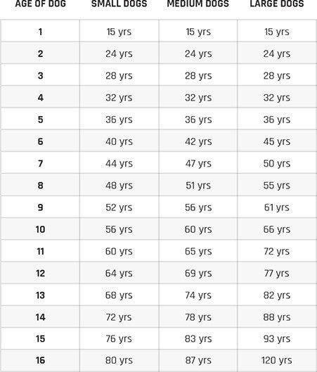 how old is a dog that is 5 in human years