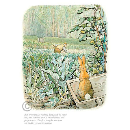 Tom Kitten Was Very Fat By Beatrix Potter