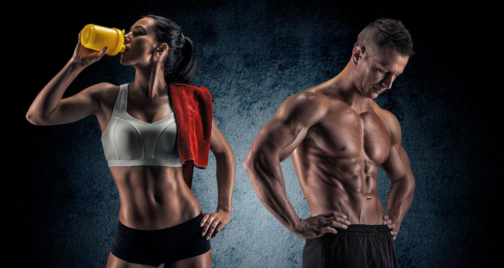 Acetyl L-Carnitine - fitness and neuroprotection