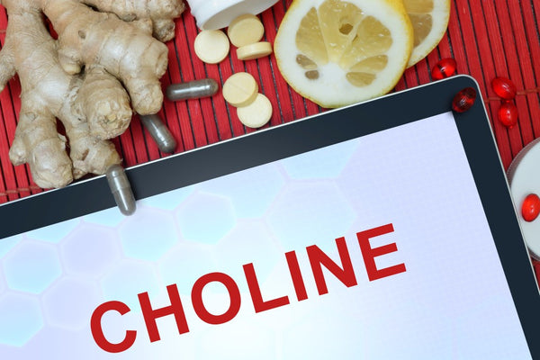 choline-rich-foods