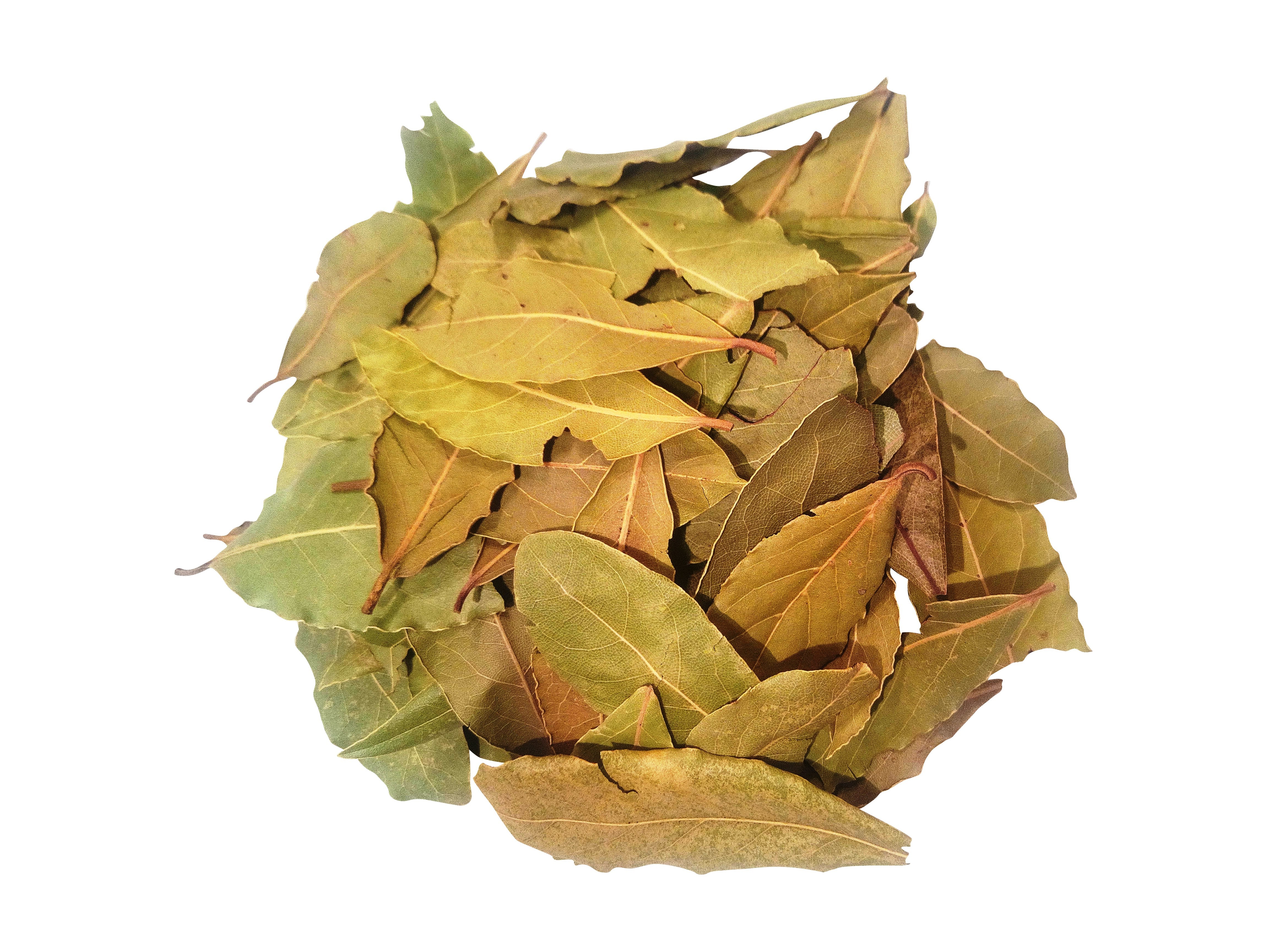 Premium Greek Dried Bay Laurel Leaves Traditional Aromatic Herb 100g