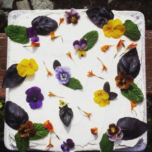 Cake + Edible Flowers