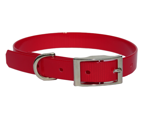 Biothane Collar – The Natural Dog Hub