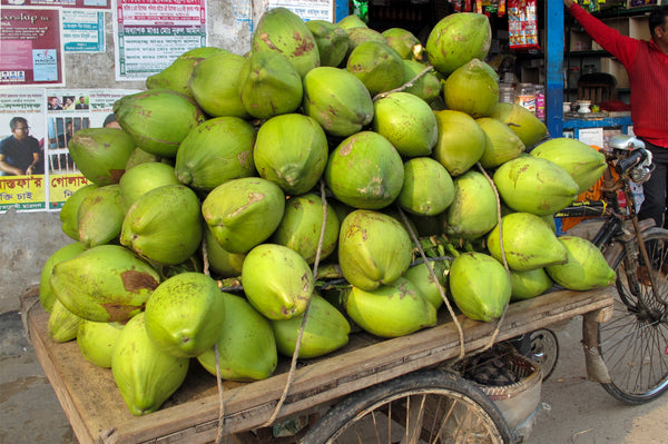 KOR Coconut filters