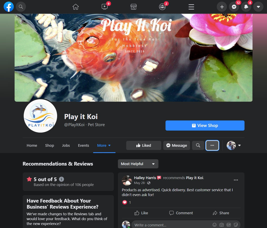 Play It Koi Facebook Reviews