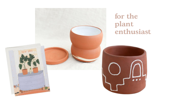 az gifts, for the plant-lovers at Local Nomad