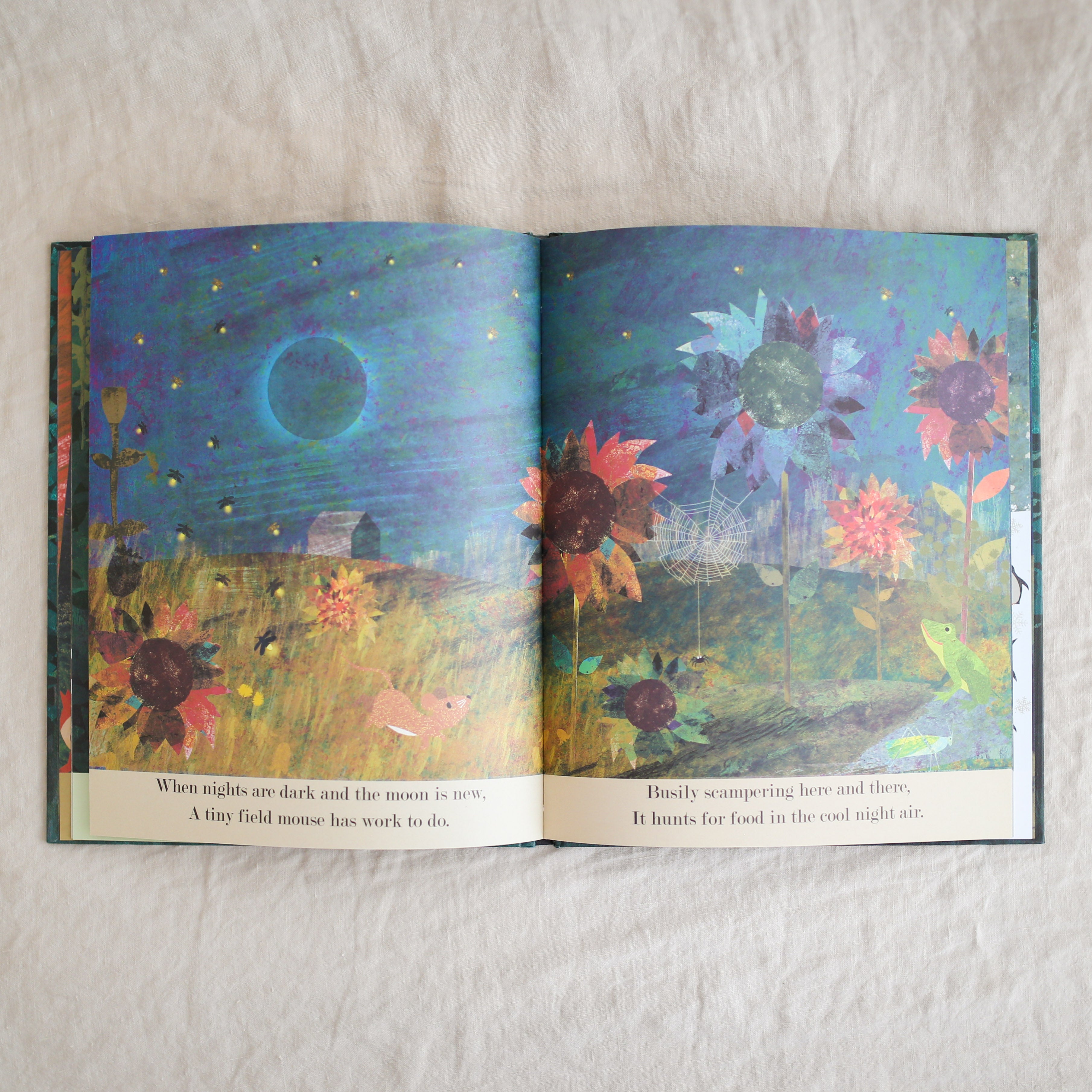 Moon: A Peek-Through Picture Book