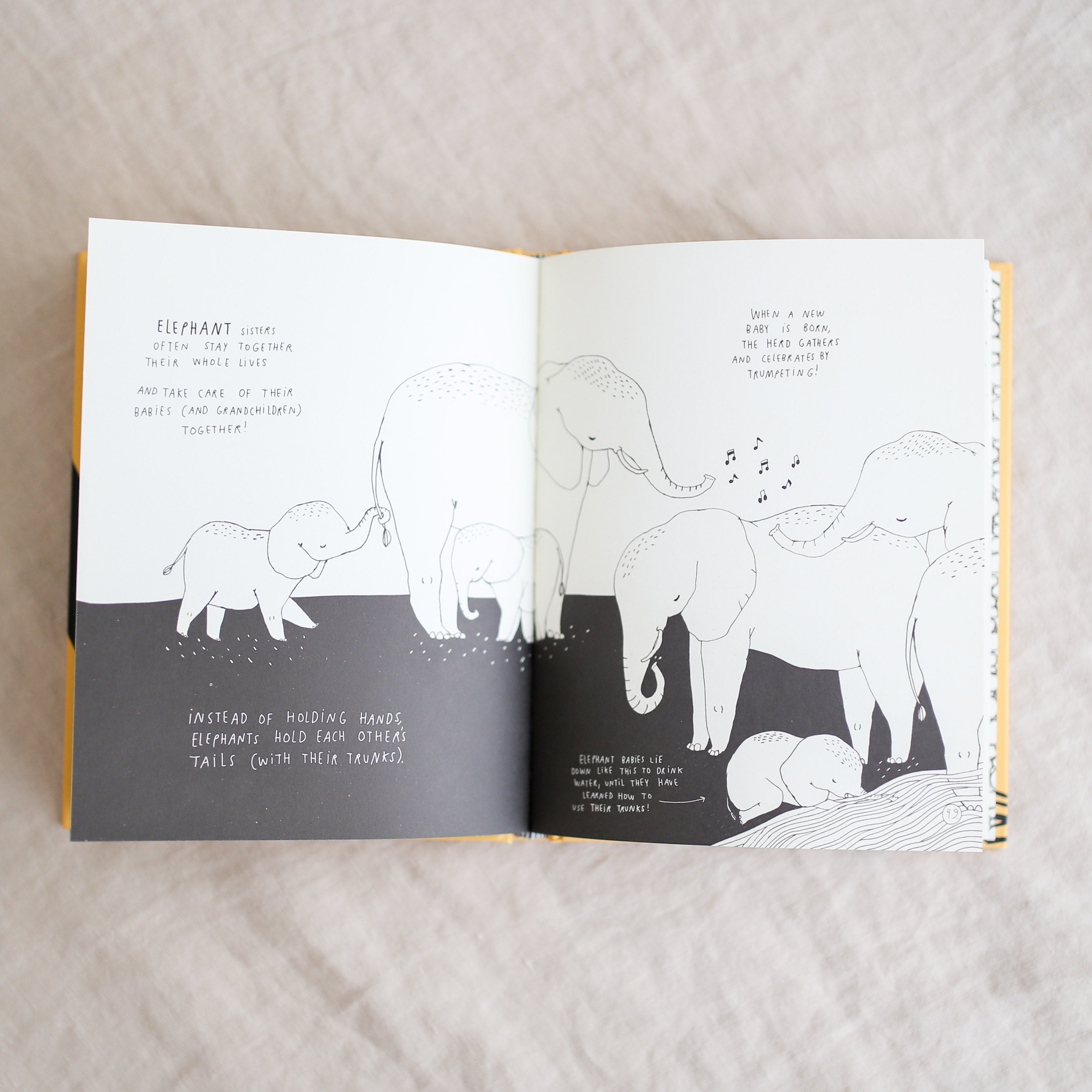 Amazing Facts About Baby Animals: An Illustrated Compendium