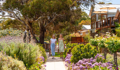 lake breeze wines langhorne creek