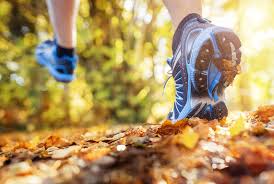 Fall Trail Running in Hayward, Wisconsin