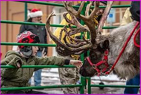 A Lure of Lights - Events with Reindeer, Santa Sightings, parades, lights & more