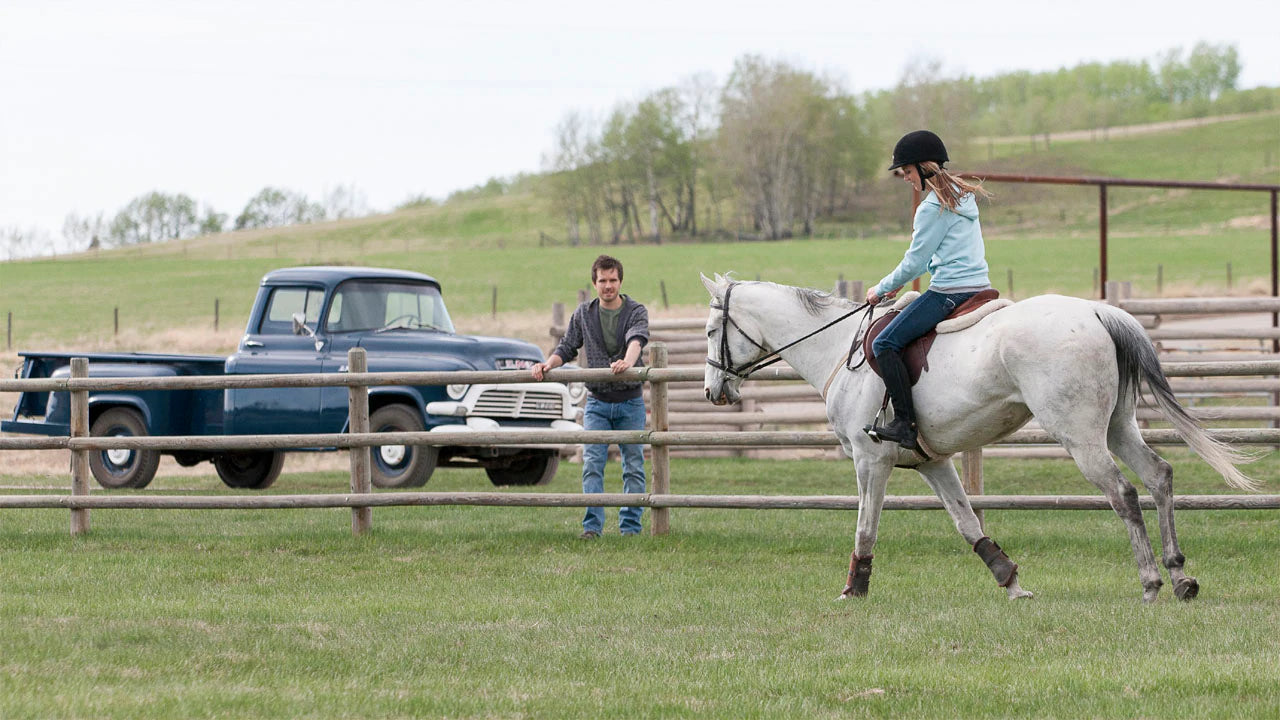 Heartland: The Complete Fifteenth Season