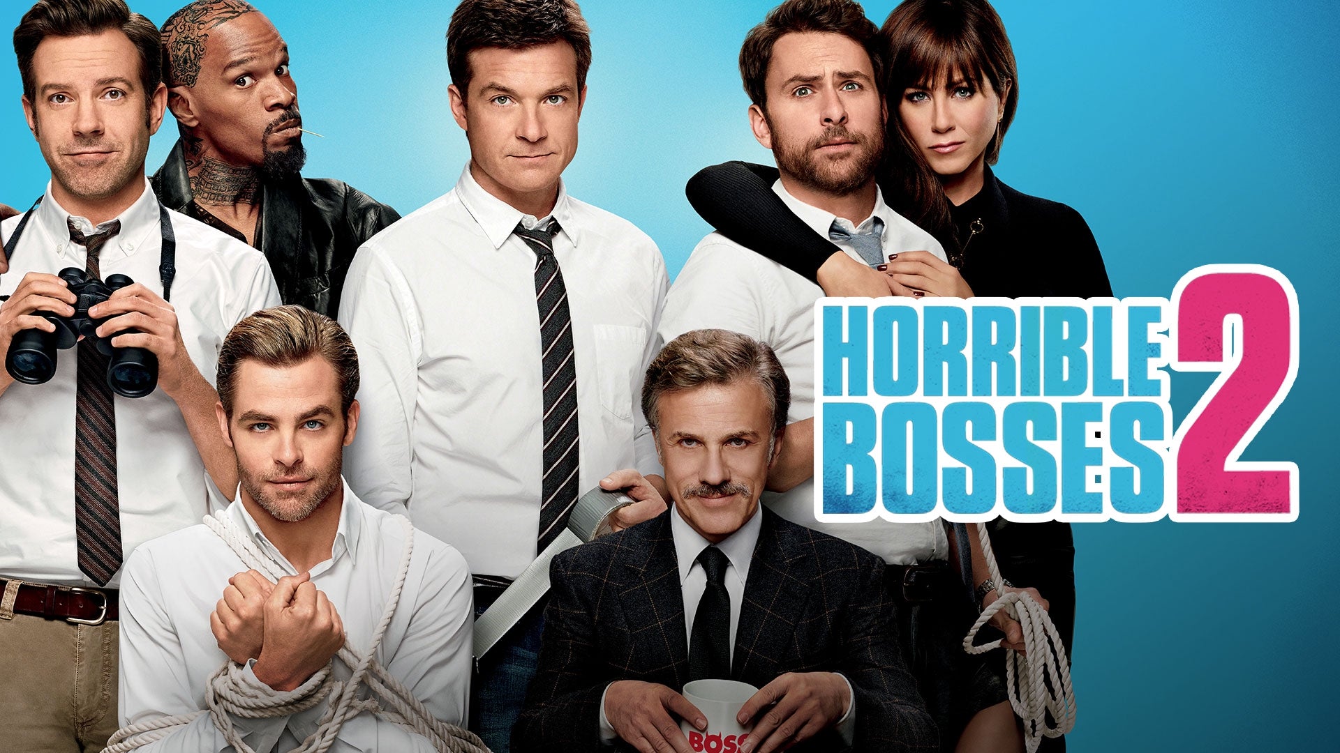 Horrible Bosses 2-Film Collection