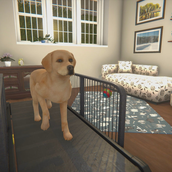 House Flipper: Pets Edition