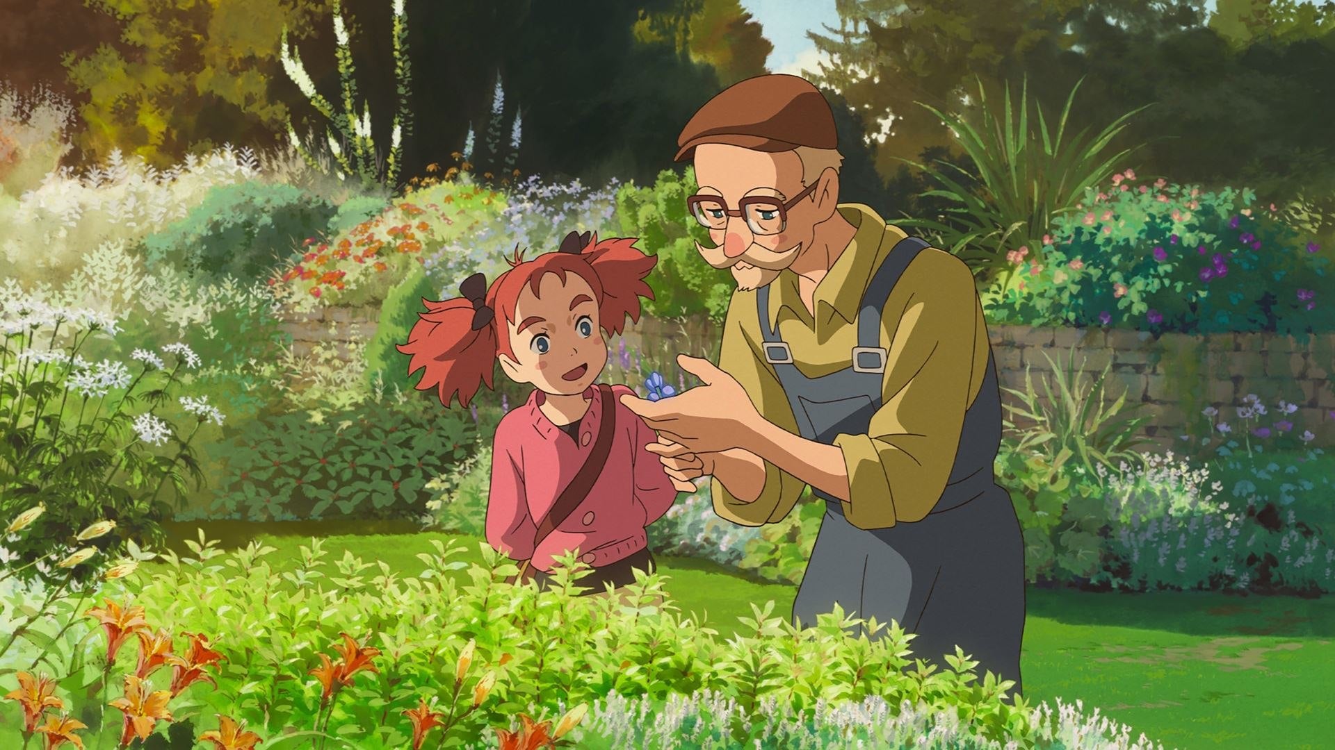 Mary and the Witch's Flower