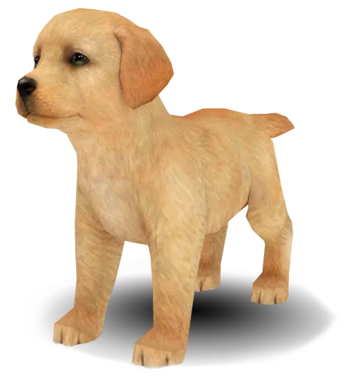 Nintendogs + Cats: Golden Retriever & New Friends