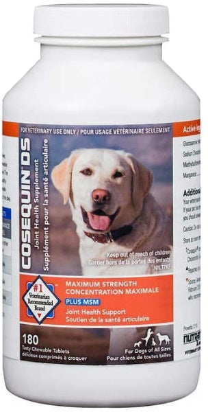 Nutramax Cosequin DS Maximum Strength Plus MSM Joint Health Supplement for Dogs - 180-Count