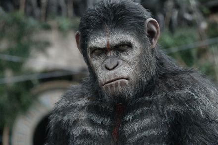 50 Years of Planet of the Apes 9-Movie Collection