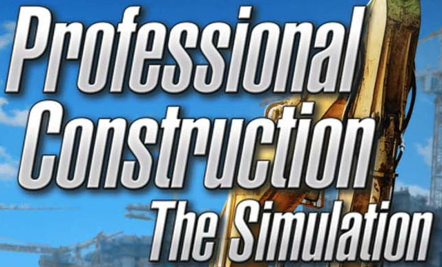 Professional Construction: The Simulation