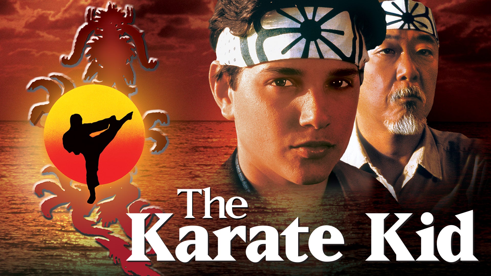 The Karate Kid: 5-Movie Collection