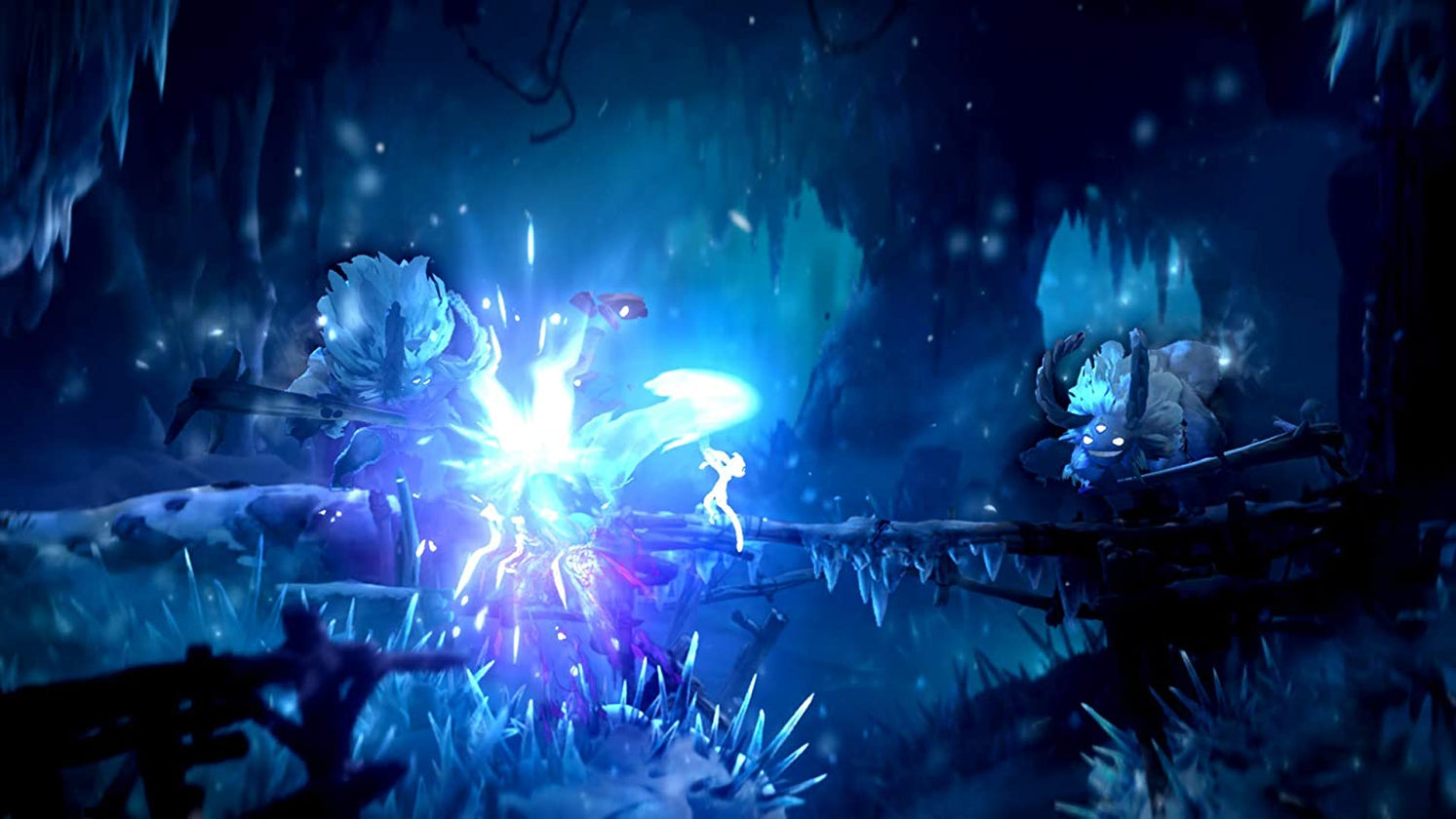 ori and the will of the wisps coop