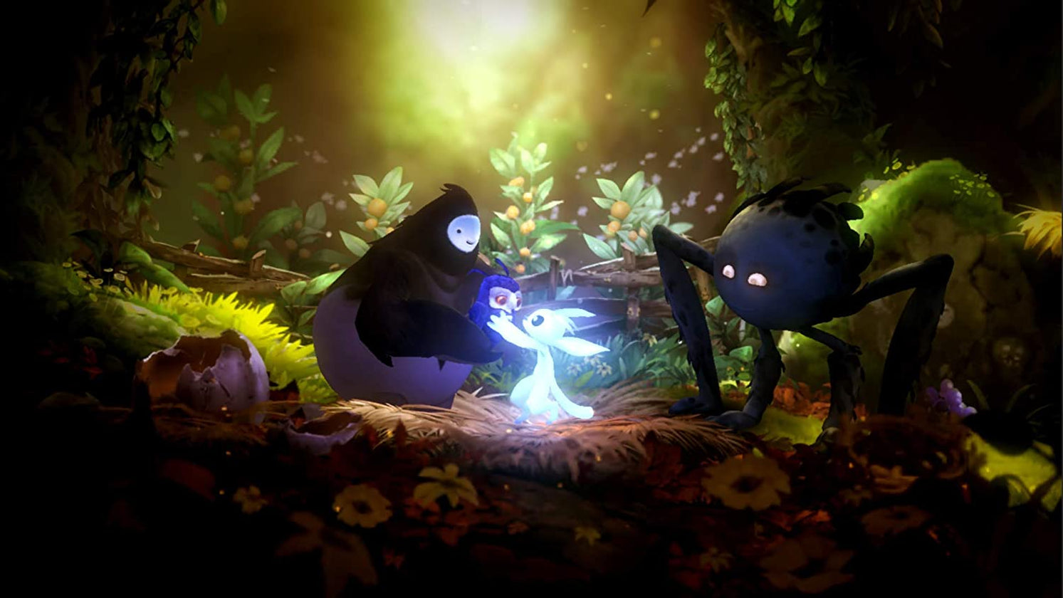 ori and the will of the wisps coop