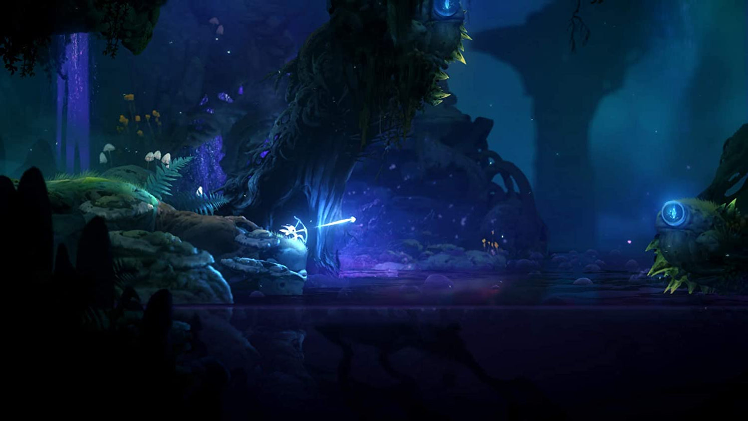 ori and the will of the wisps coop