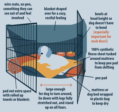 crate rest - IVDD treatment