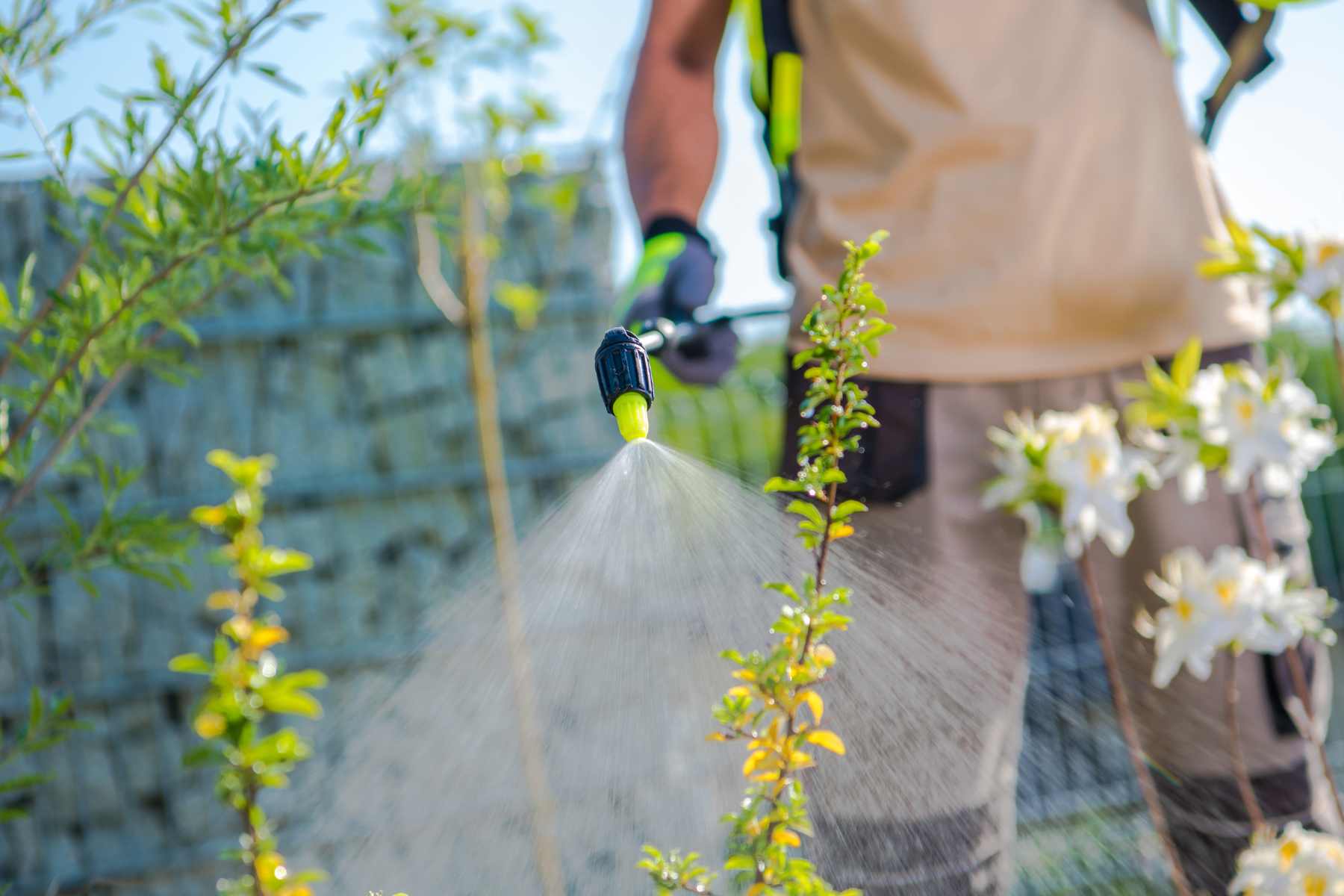 organic pest control