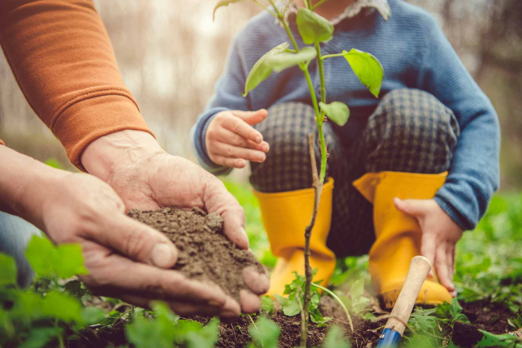 spring planting