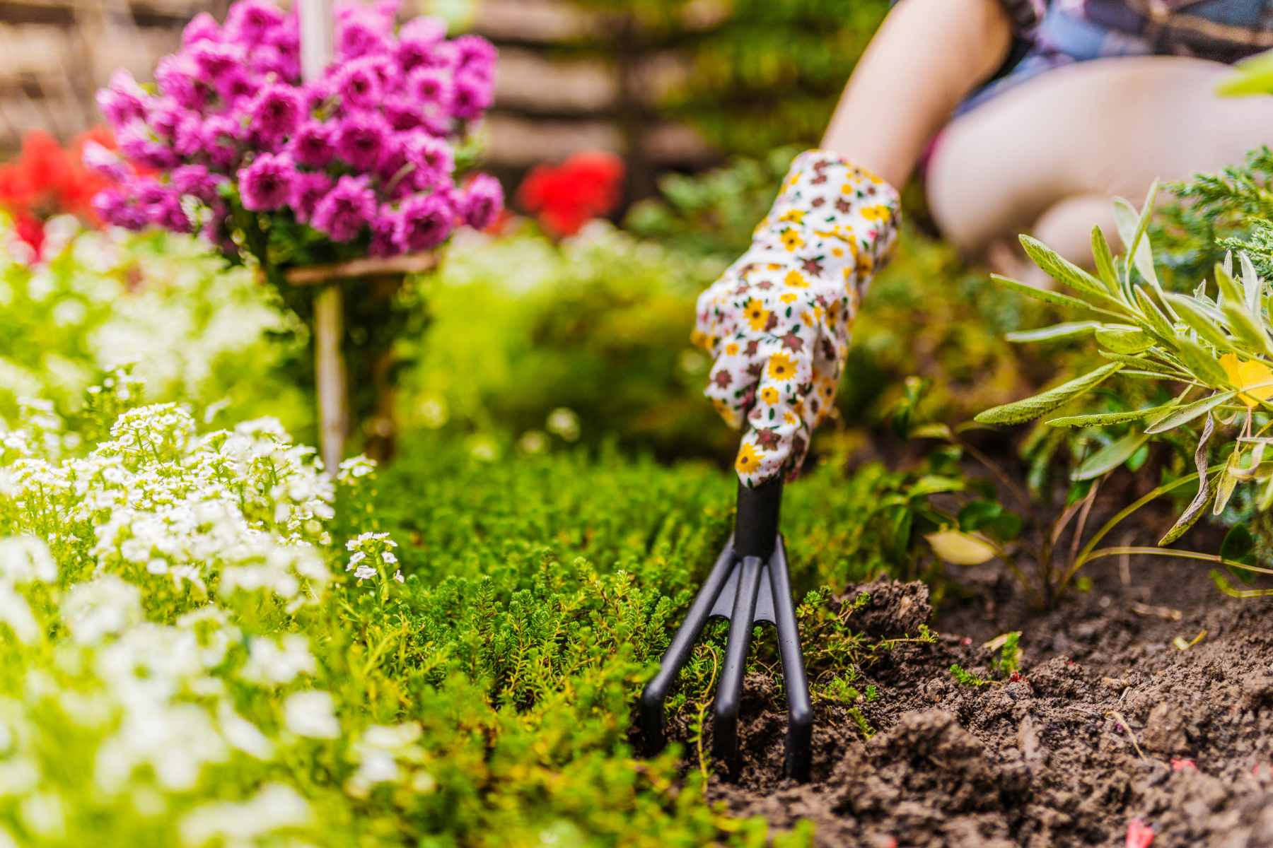 spring planting