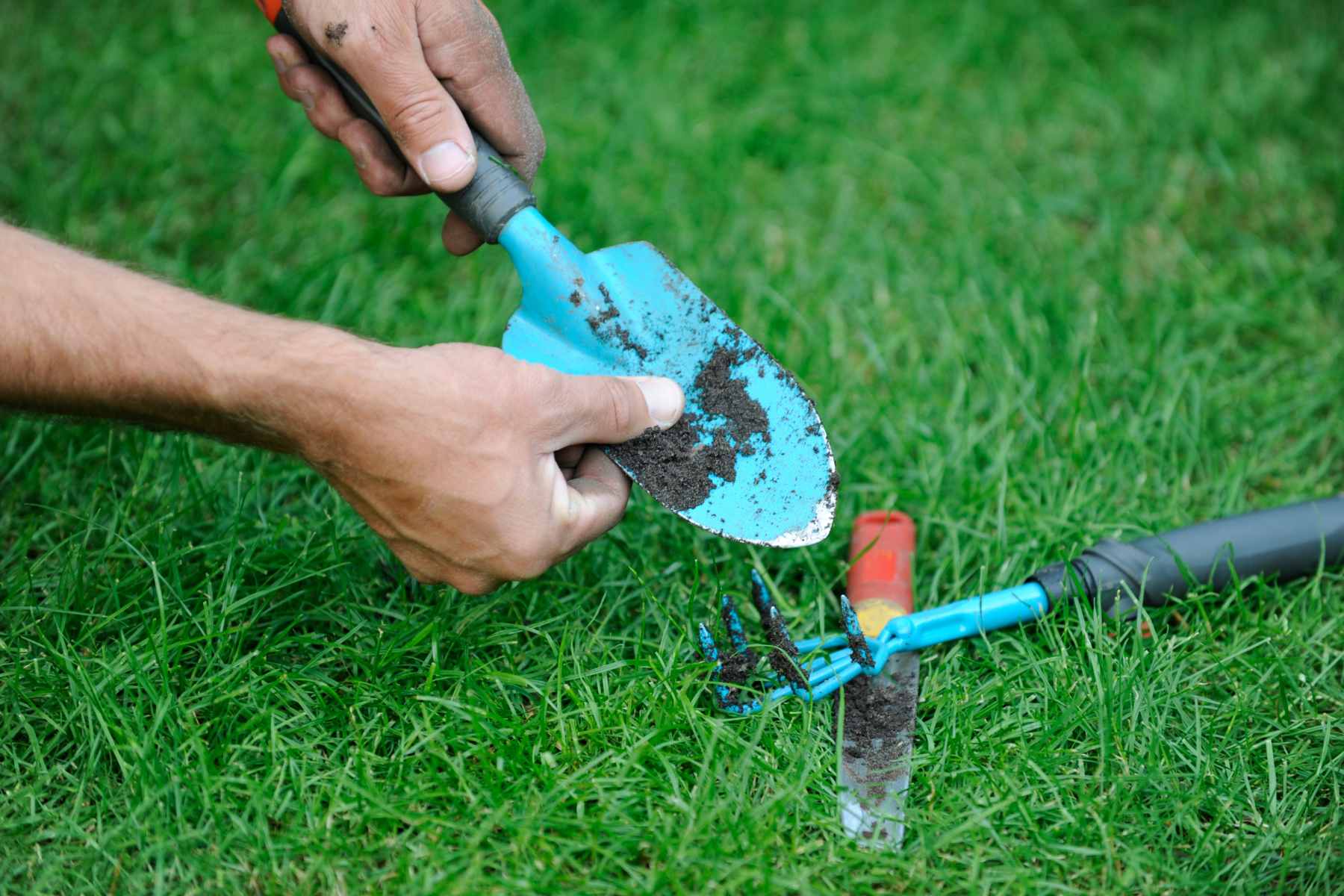 spring planting