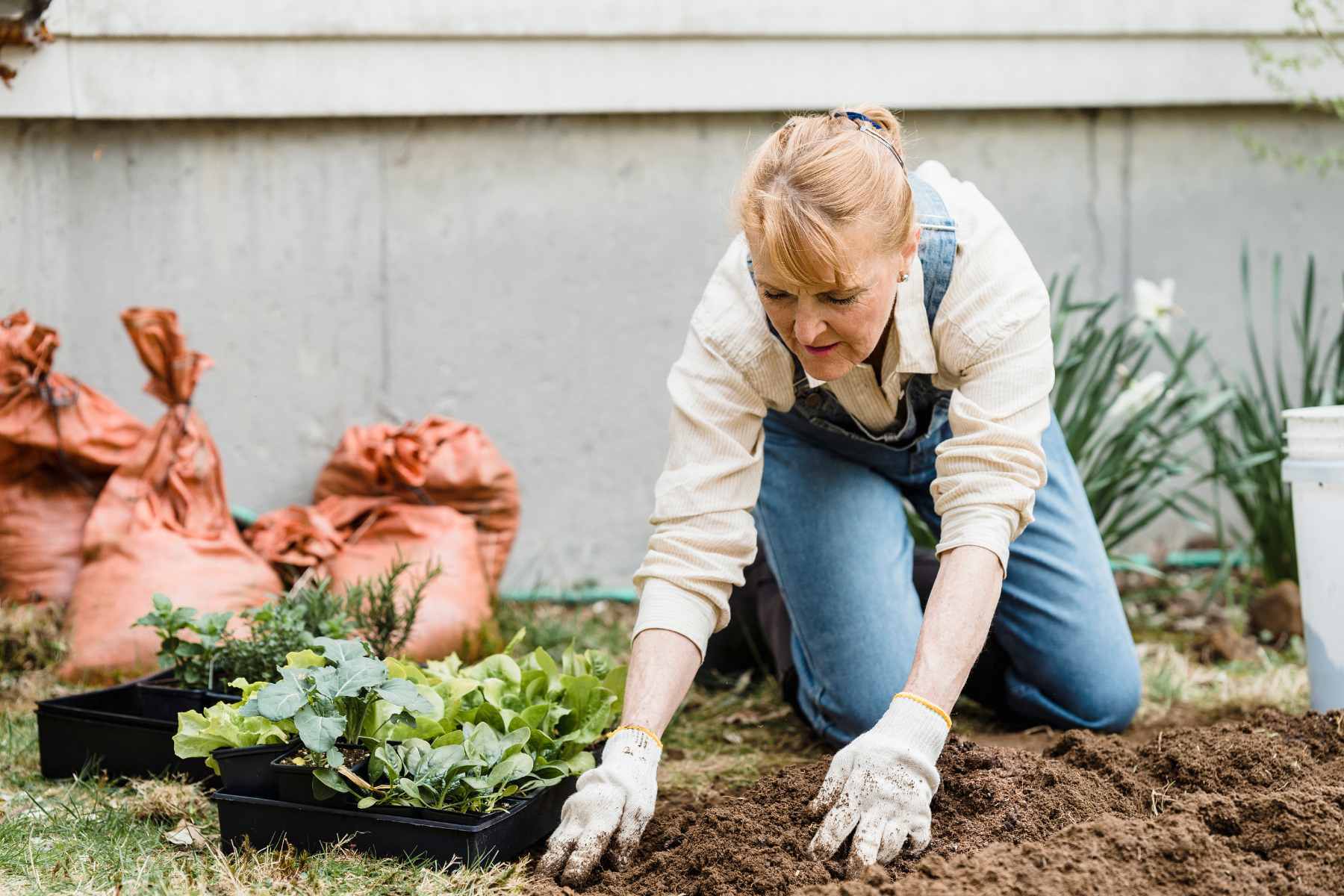 spring planting