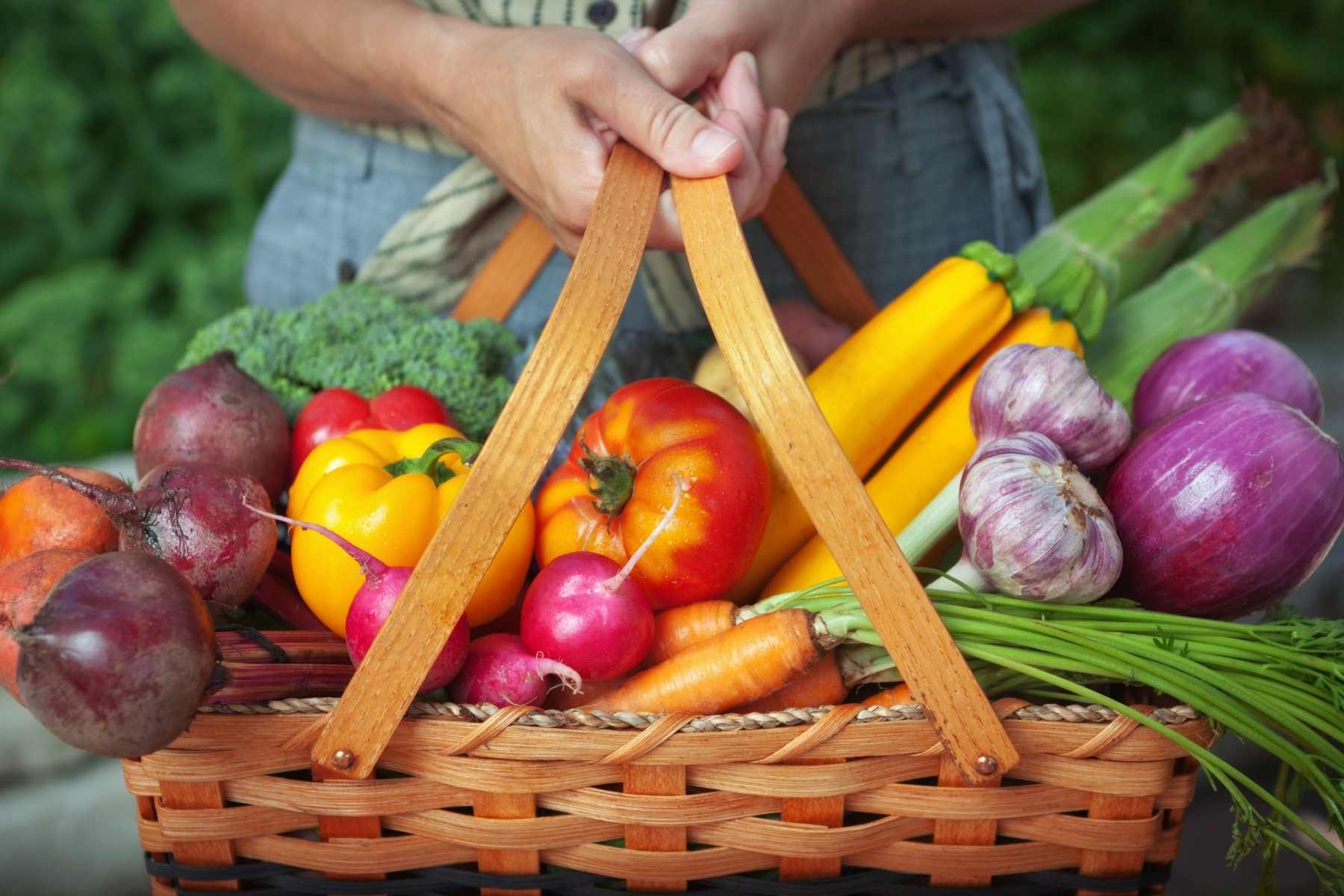 vegetable garden