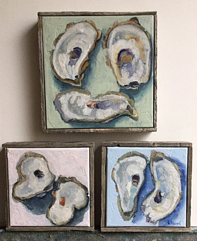Oyster paintings in various sizes