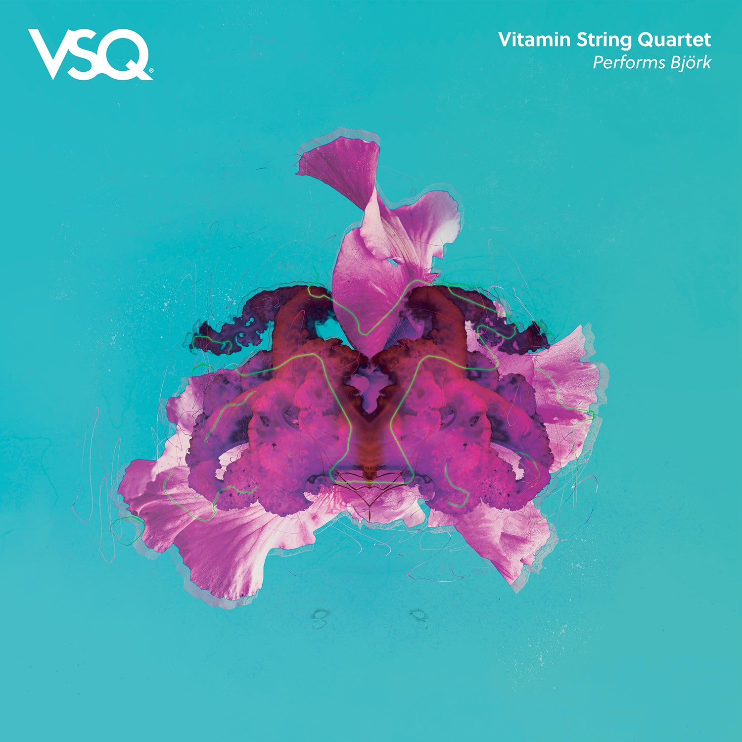 VSQ Performs Björk – Vitamin String Quartet