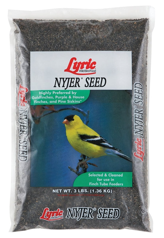 Lyric Nyjer Bird Seed 3 Lb Sparr Building And Farm Supply