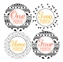 MULTI PATTEREN MONTHLY BABY STICKERS