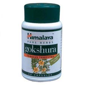 Himalaya Gokshura Tablet 60s - DoctorOnCall Farmasi Online