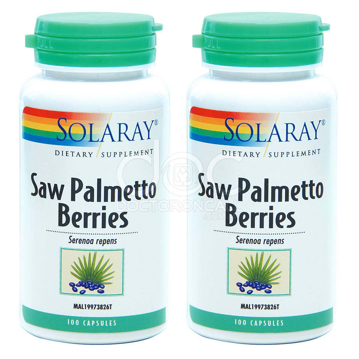 Solaray Saw Palmetto Berries Capsule 100s x2 - DoctorOnCall Online Pharmacy