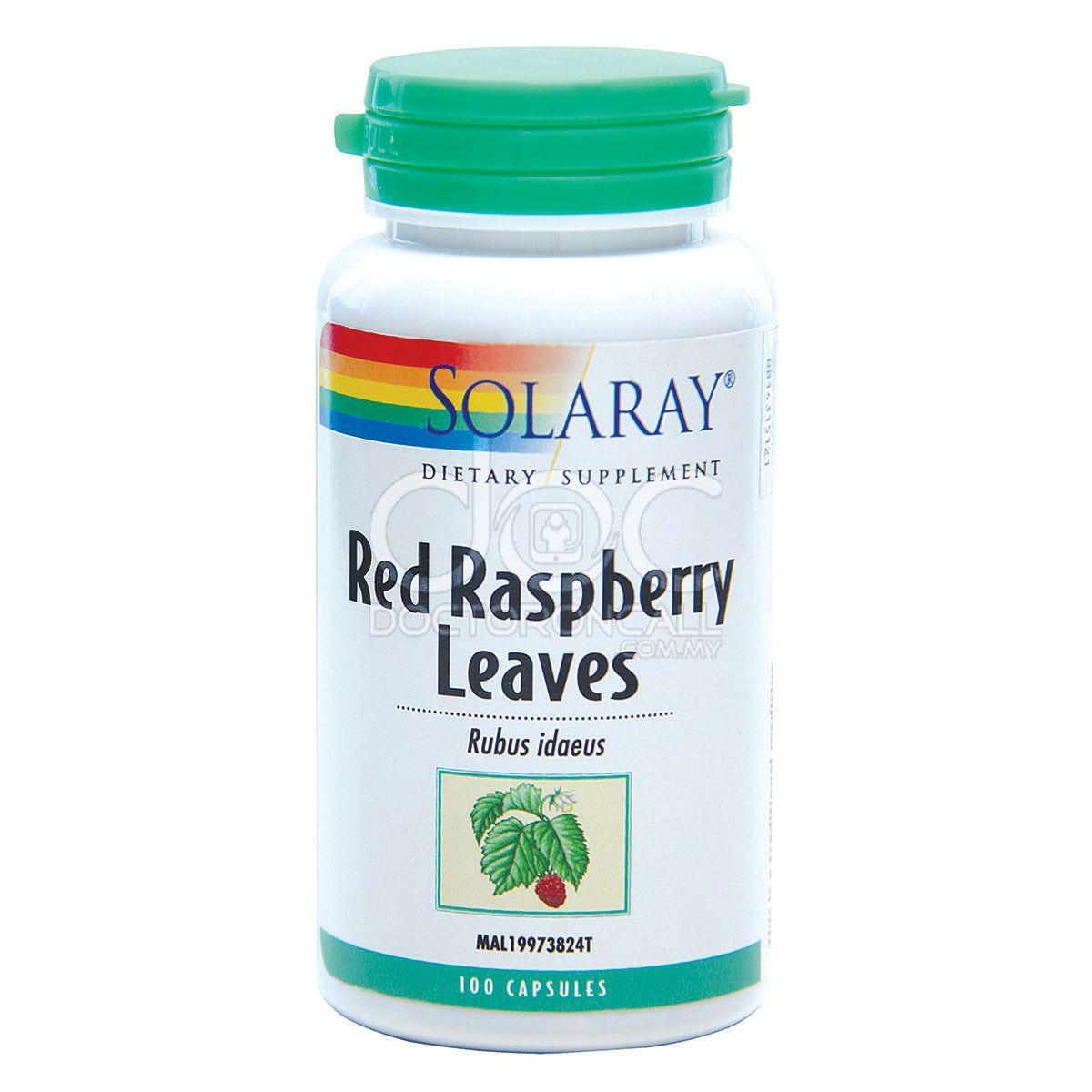 Solaray Red Raspberry Leaves Capsule 100s - DoctorOnCall Farmasi Online