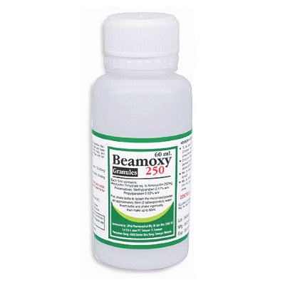 Beamoxy 250mg/5ml Granules 60ml - DoctorOnCall Online Pharmacy