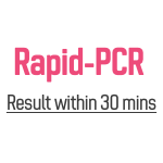Rapid PCR Testing for COVID-19 - Default Title - DoctorOnCall Online Pharmacy