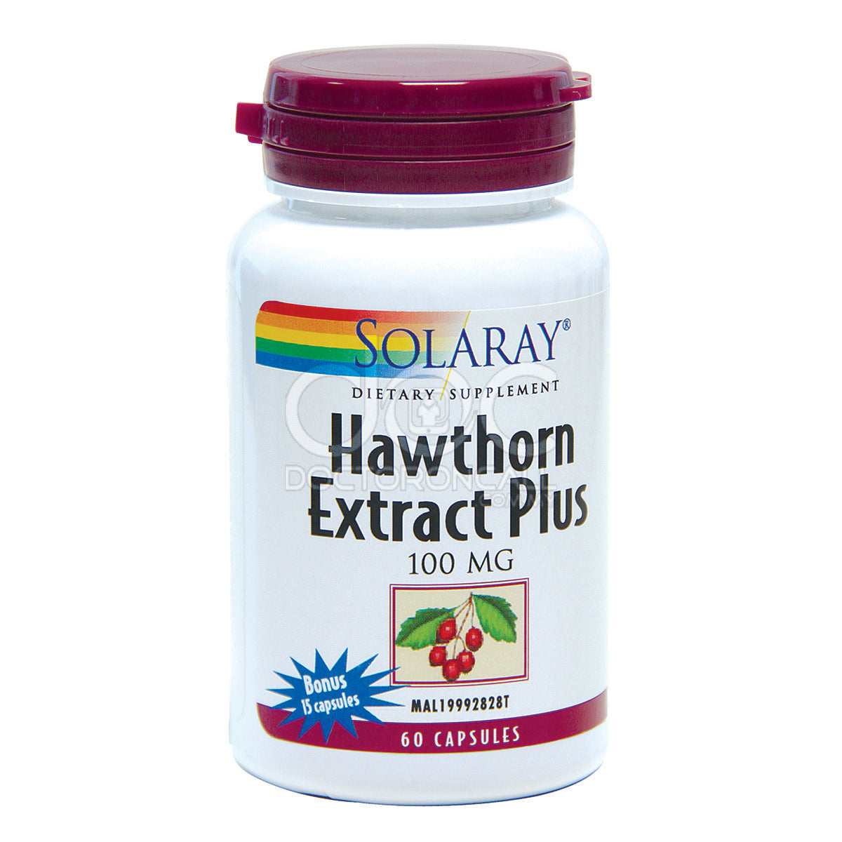 Solaray Hawthorn Extract Capsule 75s x2 - DoctorOnCall Farmasi Online